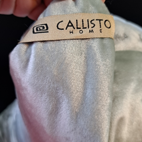 Calllisto Home Light Aqua Metallic Embroidered Velvet Accent Throw Pillow - Picture 6 of 9